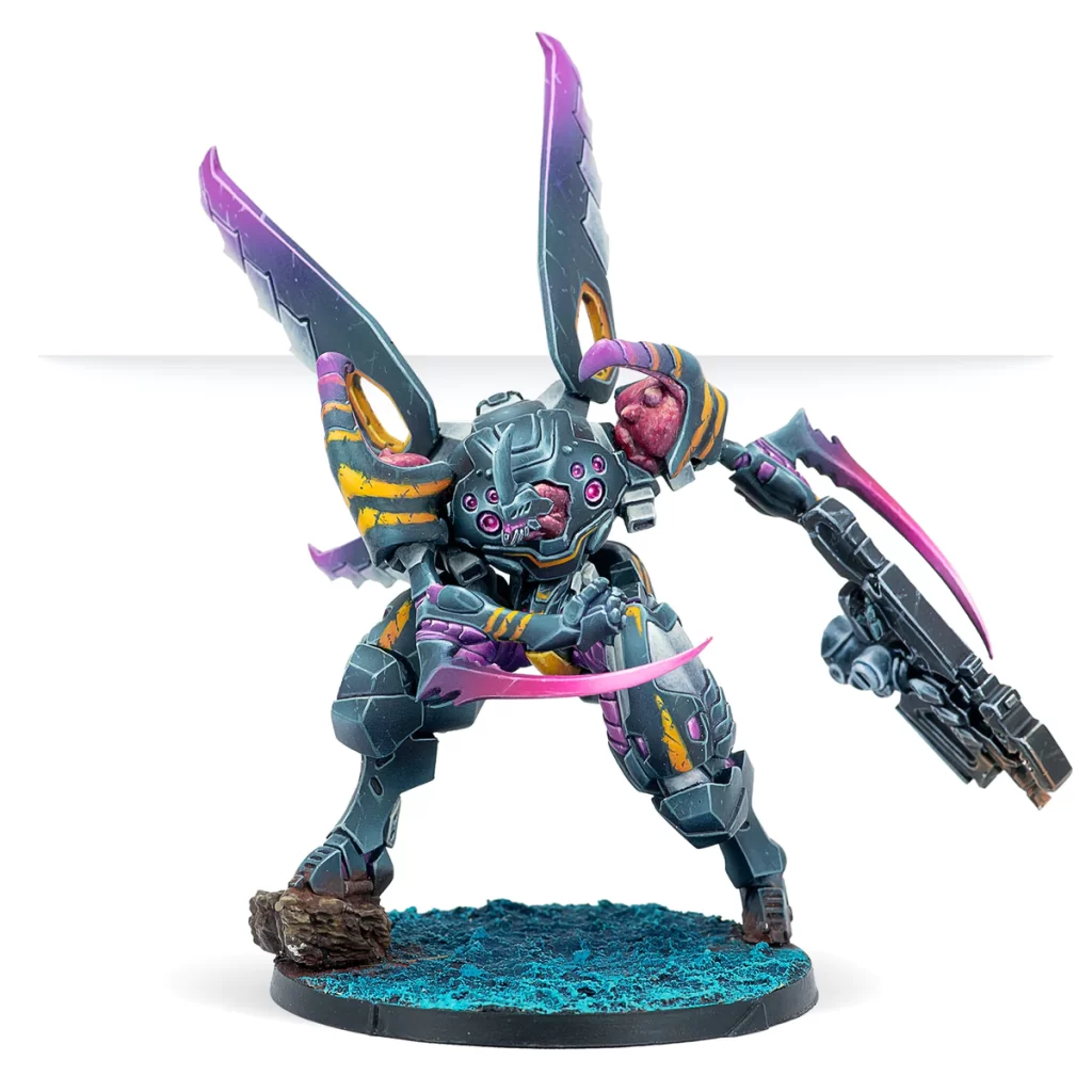 Infinity Minis January 2024